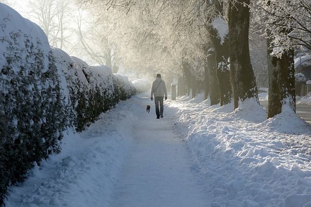 独りで雪道を歩いている写真