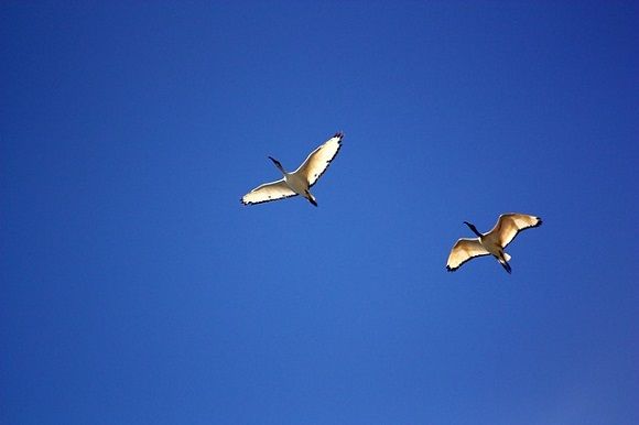 カウンセリングの研修イメージ写真